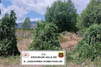 jandarmadan-kenevir-operasyonu