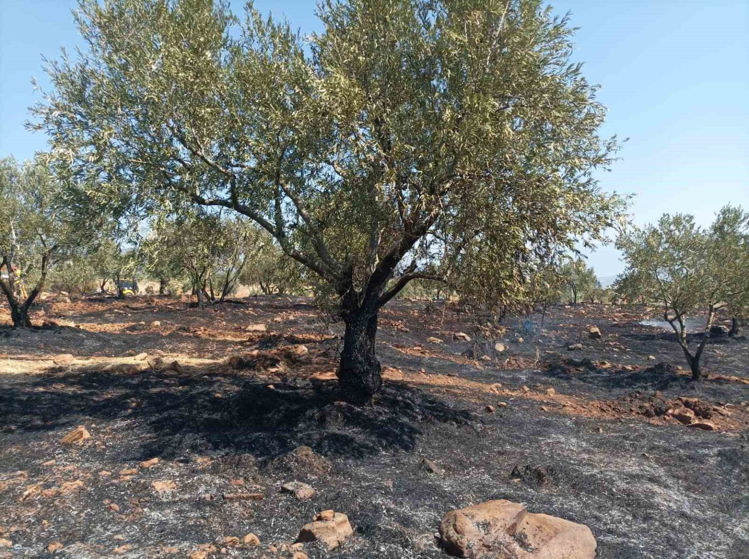 karacasuda-tarim-arazisi-yandi-baskan-buyukyapici-uyardi