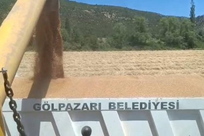 tarim-arazilerinde-hasat-sevinci