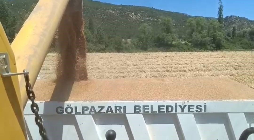 tarim-arazilerinde-hasat-sevinci