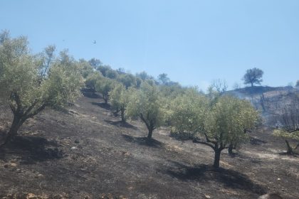 turgutlu-derbentteki-yangin-buyumeden-sonduruldu