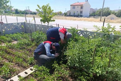 kucuk-olcekli-ureticilere-destek-veriyor