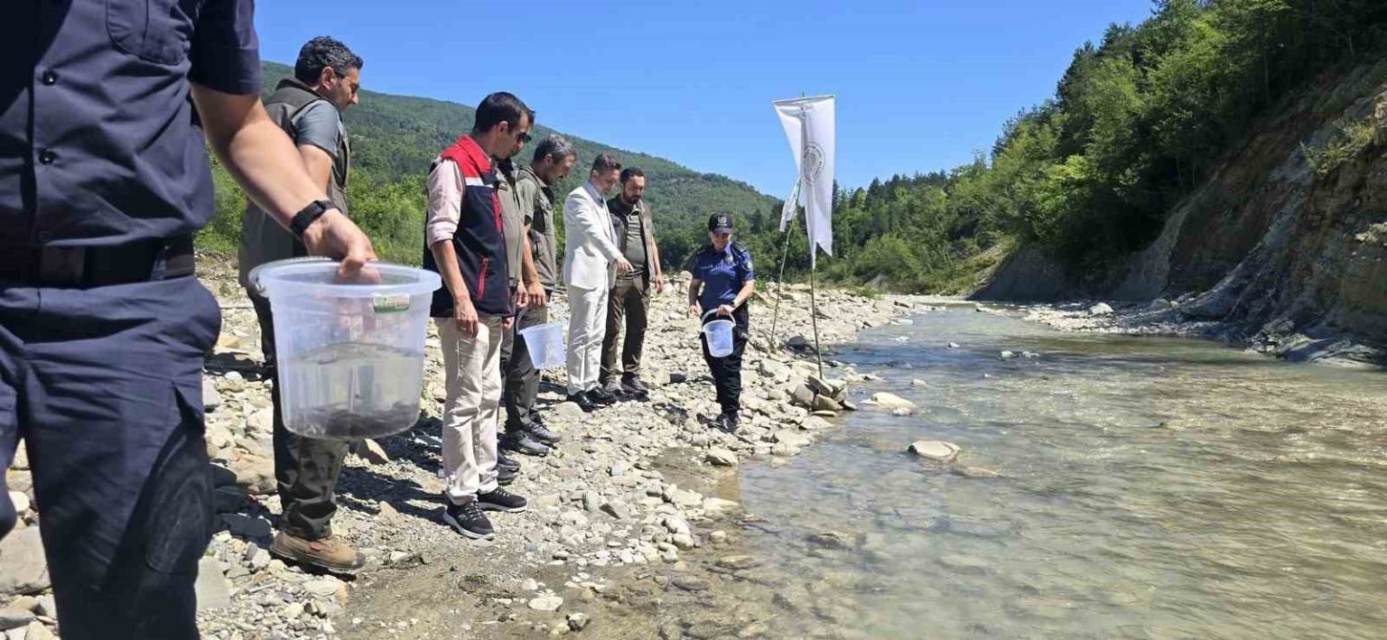 sinopta-derelere-kirmizi-benekli-alabalik-takviyesi