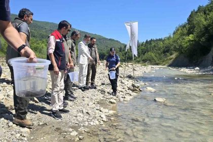 sinopta-derelere-kirmizi-benekli-alabalik-takviyesi