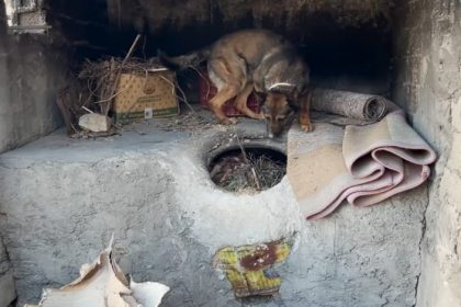 batmanda-ekmek-tandirinda-uyusturucu-ele-gecirildi