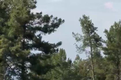 muglada-kurumlar-yaz-aylarinda-dogayi-korumak-icin-teyakkuzda