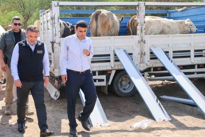 yangin-sonrasi-ureticilere-buyukbas-ve-kucukbas-hayvan-destegi-saglandi