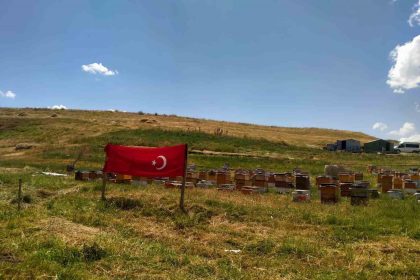 agri-ay-yildizli-bayraklarla-donatildi