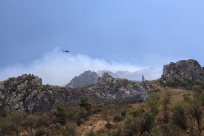 hatayda-orman-yangini