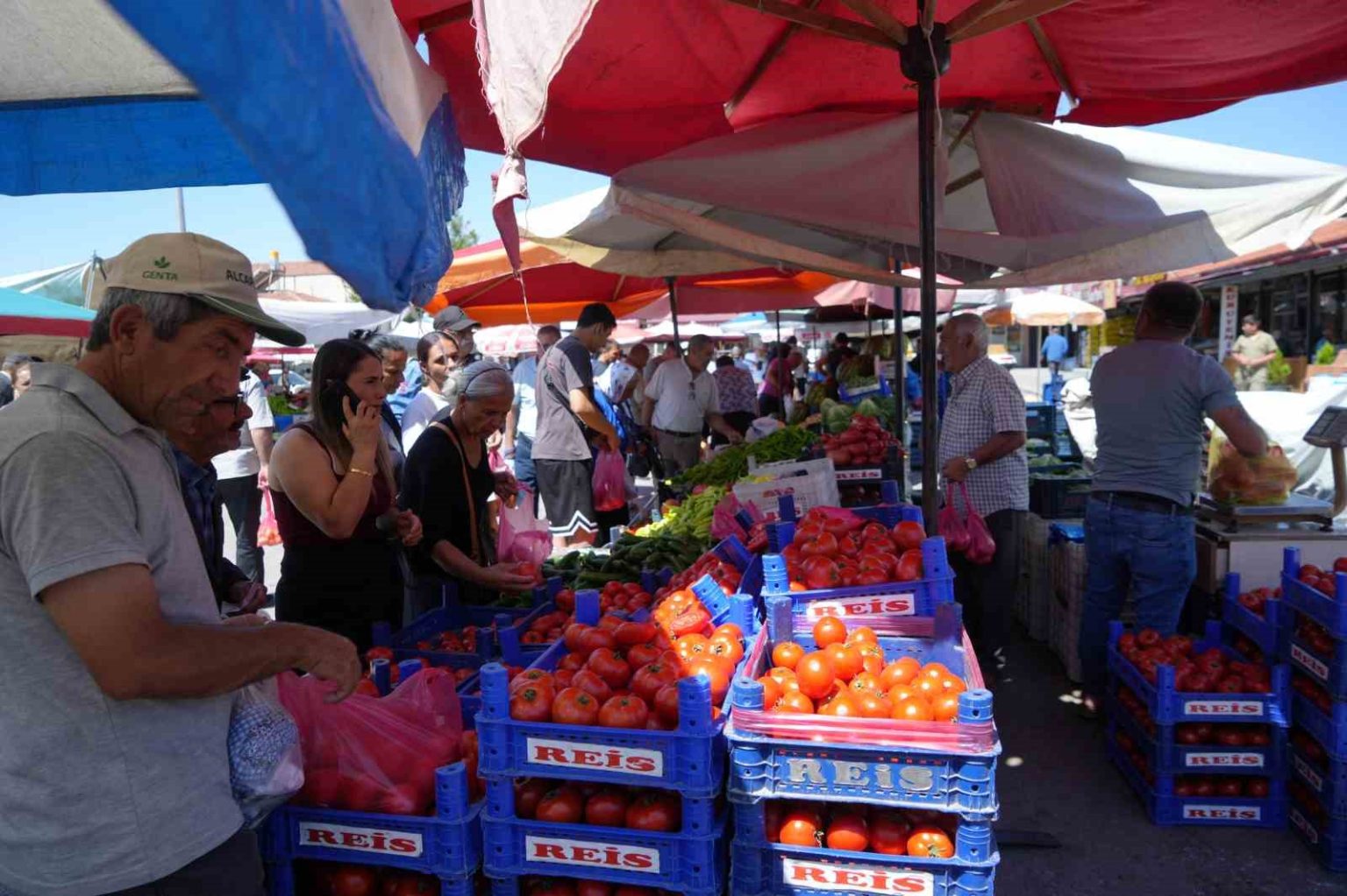 erzincan-domatesi-cevre-illerde-sofralari-susluyor