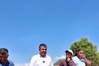 gedizde-hasat-coskusu-basladi-baskan-akel-ciftcilerin-yaninda