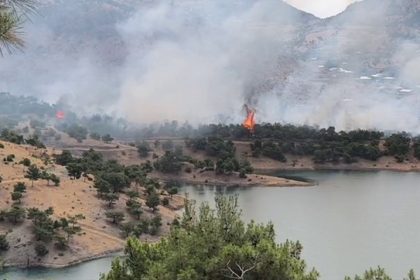 adiyamanda-ormanlik-alanda-yangin