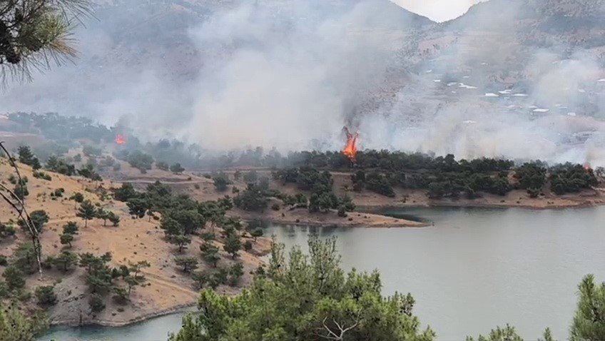adiyamanda-ormanlik-alanda-yangin