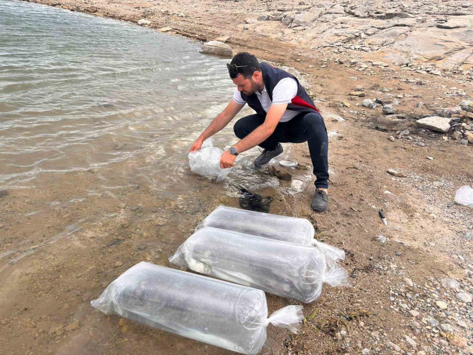 golhisar-golu-ve-yaprakli-barajina-5-bin-yayin-ve-sazan-baligi-birakildi