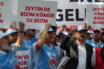 milasli-muhtarlar-ve-tes-isten-maden-yasasina-destek-koylerimiz-ve-zeytinlerimiz-yok-olmayacak
