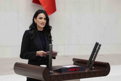 ak-parti-aydin-milletvekili-saribas-basariyi-golgeleyemezsiniz-kronik-onyargilarinizdan-kurtulun