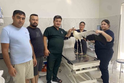 alasehirde-susuz-kalan-leylek-kurtarildi