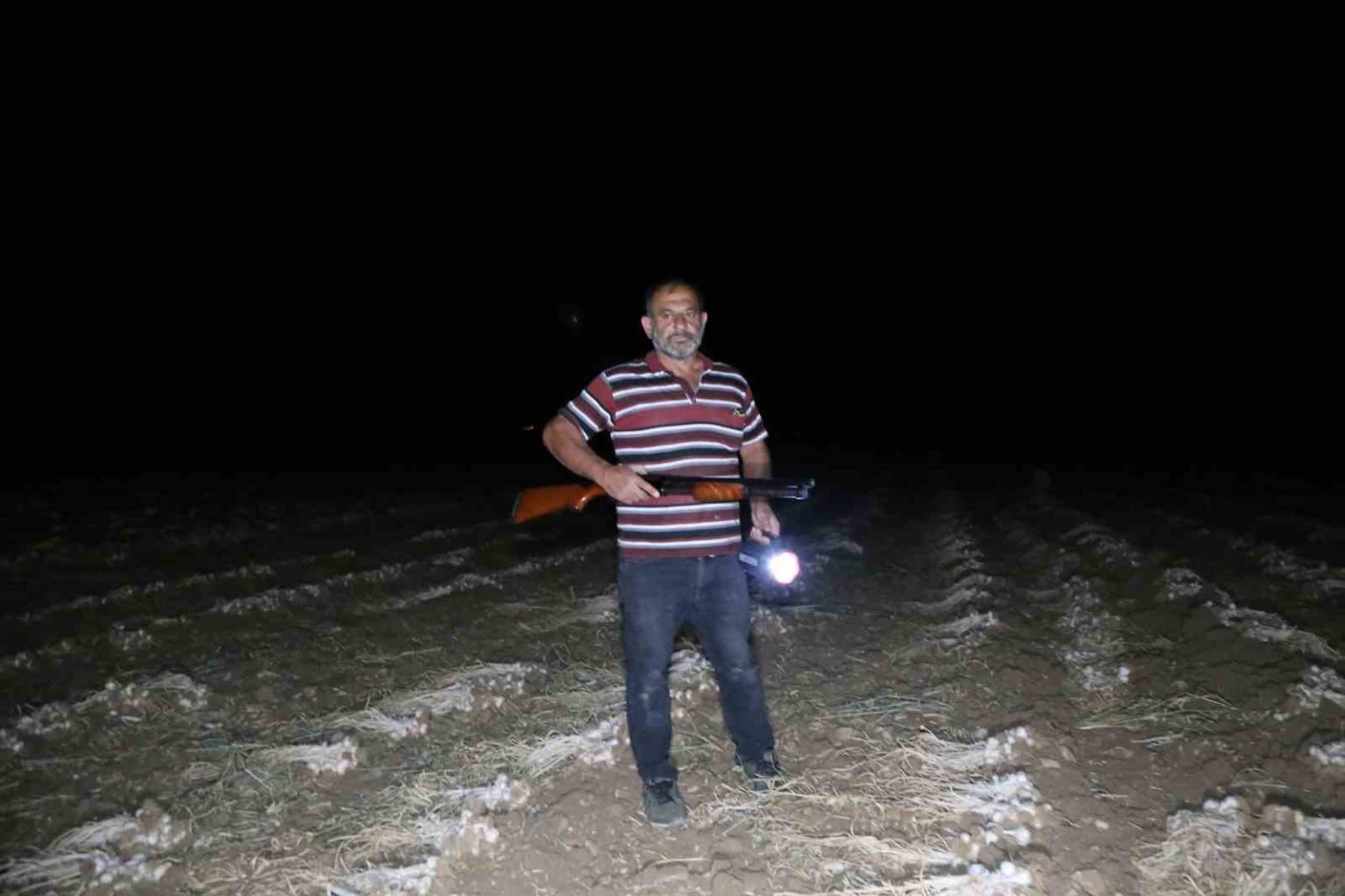 ciftcilerin-beyaz-altin-nobeti-sarimsaklar-calinmasin-diye-sabaha-kadar-tarlada-nobet-tutuyorlar
