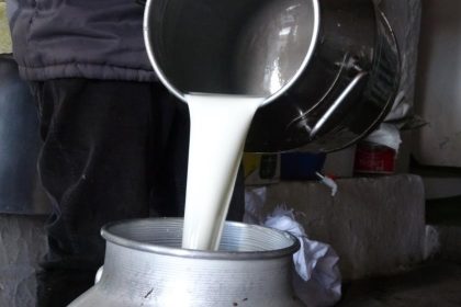 cig-sut-fiyatlari-belli-oldu