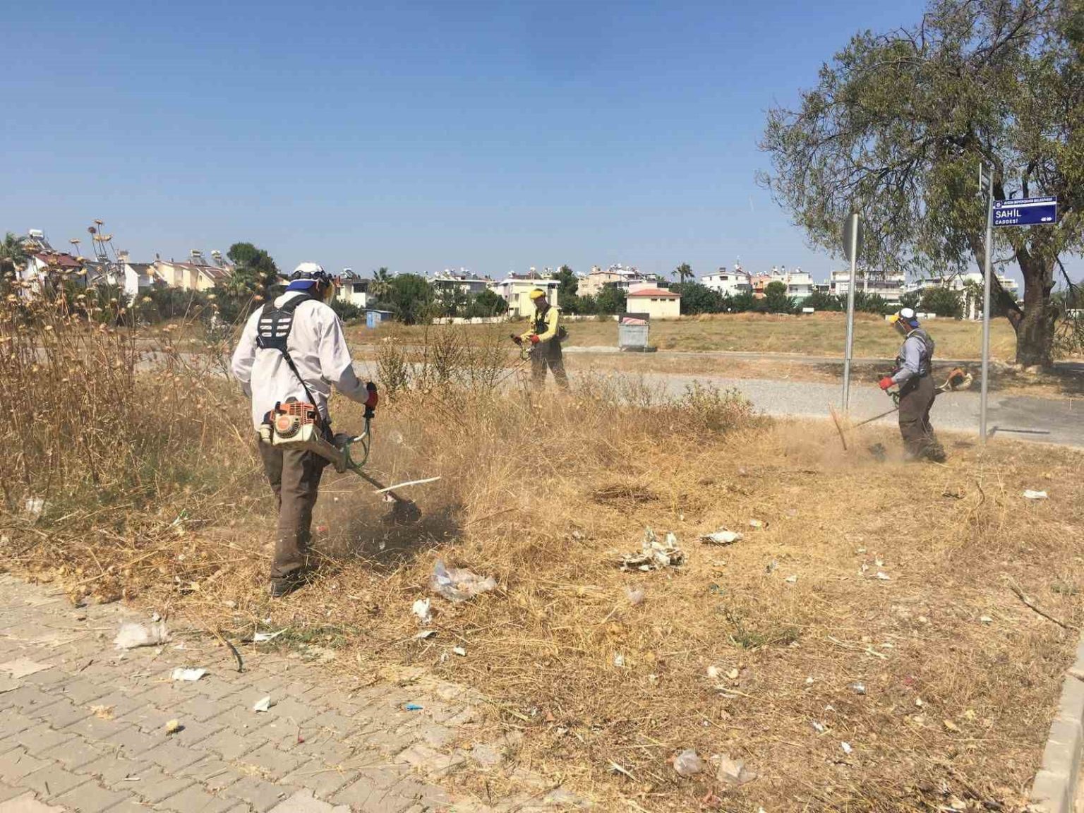 didim-genelinde-temizlik-ve-yesil-alan-bakimlari-yaz-boyunca-devam-edecek