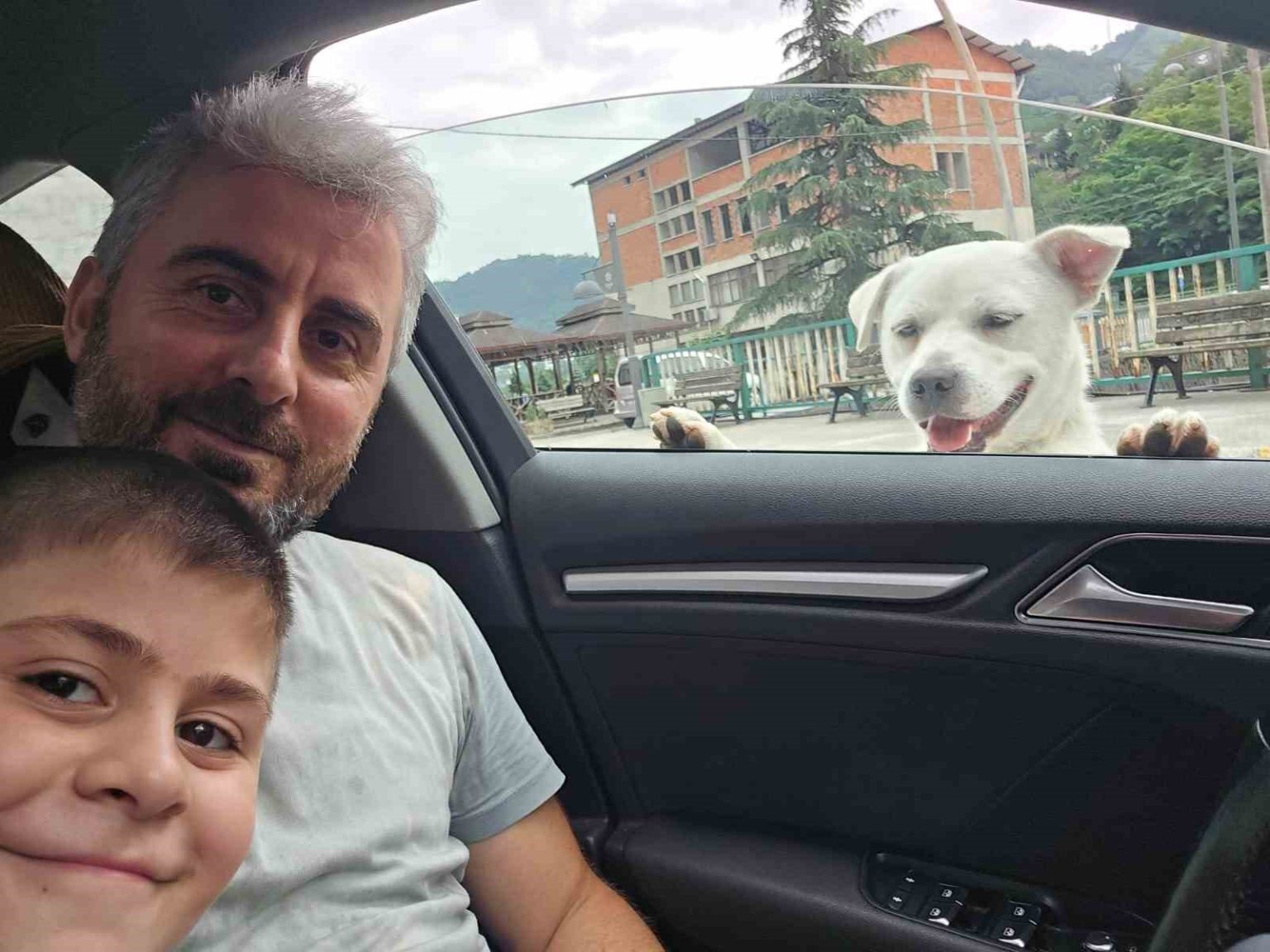 esnafin-pesinden-ayrilmayan-pitbull-gorunumlu-kopek-sosyal-medyada-gundem-oldu