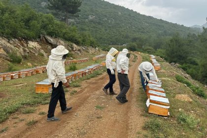 adiyamanli-aricilar-2025-yili-bal-fiyatlarini-acikladi