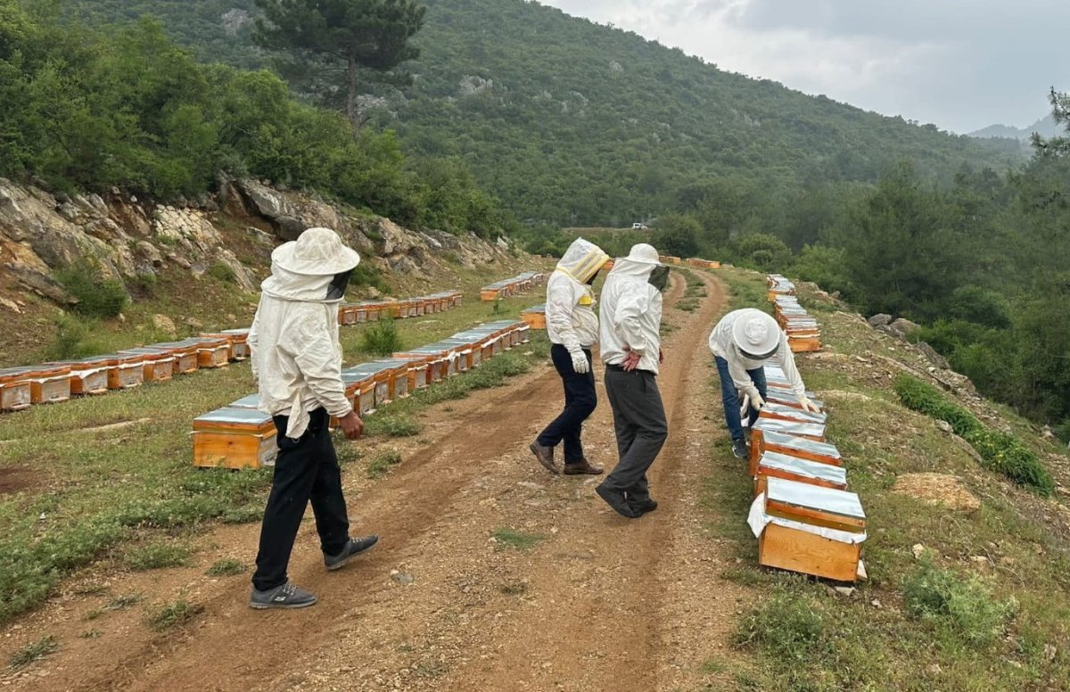 adiyamanli-aricilar-2025-yili-bal-fiyatlarini-acikladi