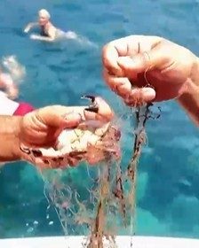 alanyada-aga-takilan-yengecler-kurtarildi