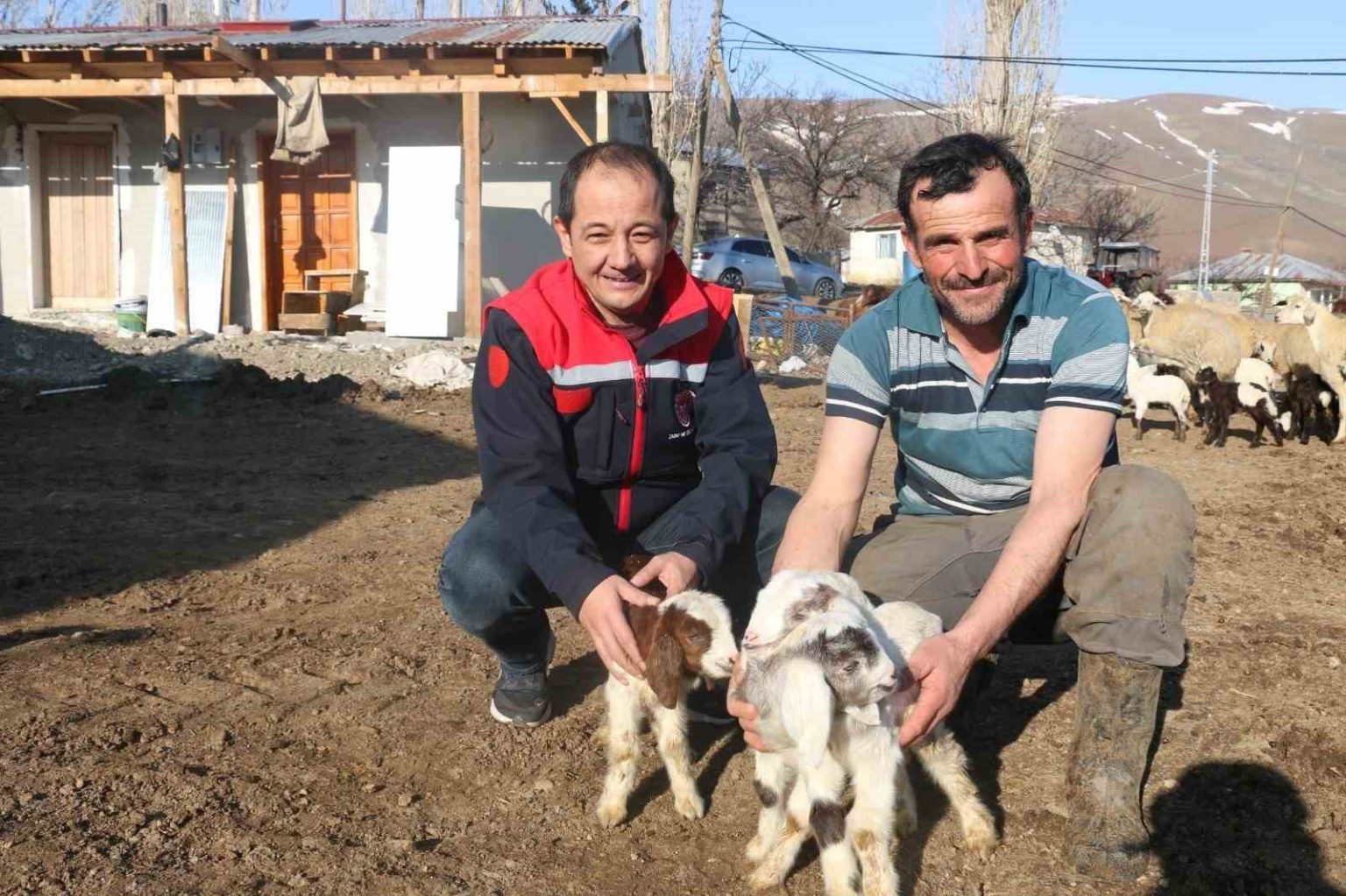 erzincanda-koyunculuk-kredisi-1-milyon-200-bin-liraya-yukseltildi
