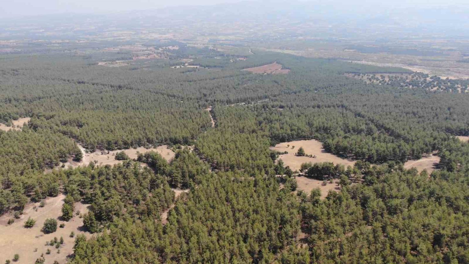 karacasu-kaymakamligindan-ormana-giris-yasagi-hatirlatmasi