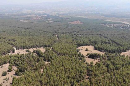 karacasu-kaymakamligindan-ormana-giris-yasagi-hatirlatmasi