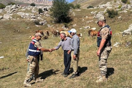 uzumlude-4-gundur-kayip-17-buyukbas-hayvani-jandarma-buldu