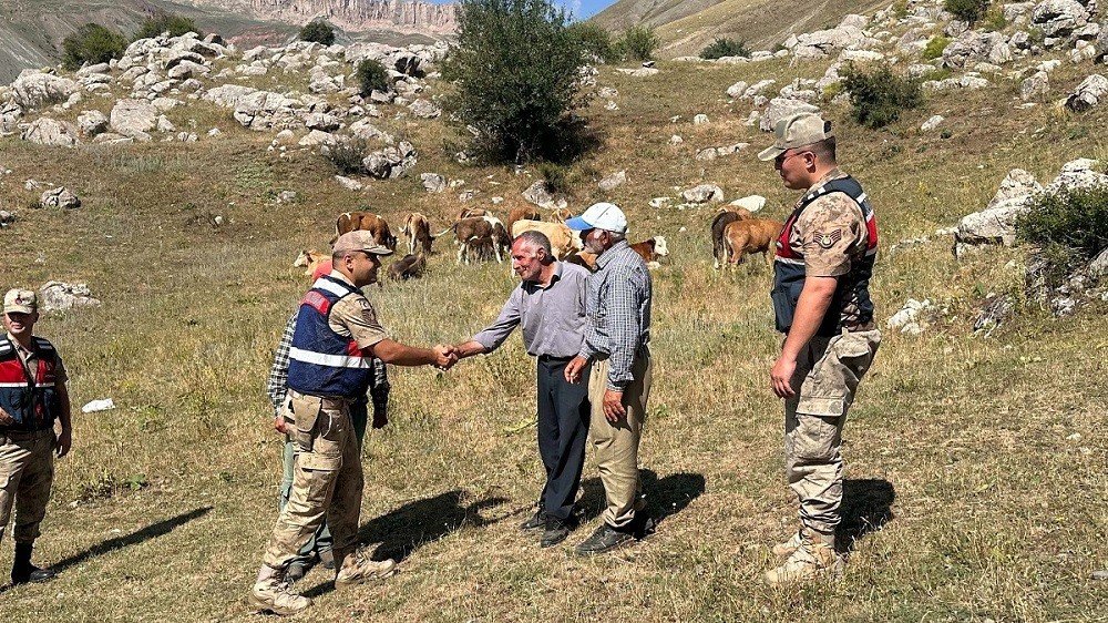 uzumlude-4-gundur-kayip-17-buyukbas-hayvani-jandarma-buldu