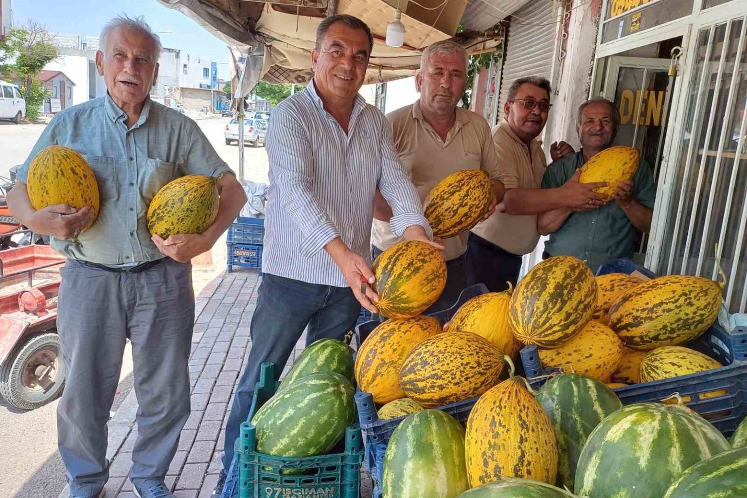 araban-ovasinda-kavun-hasadi-basladi