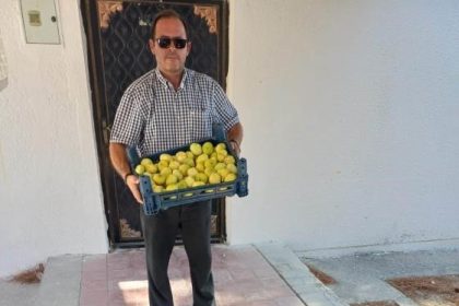 mutta-beyaz-incir-hasadi-basladi
