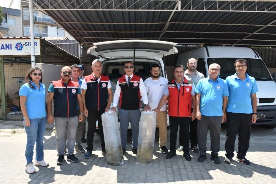 aydinda-153-bin-sazan-yavrusu-dogayla-bulustu
