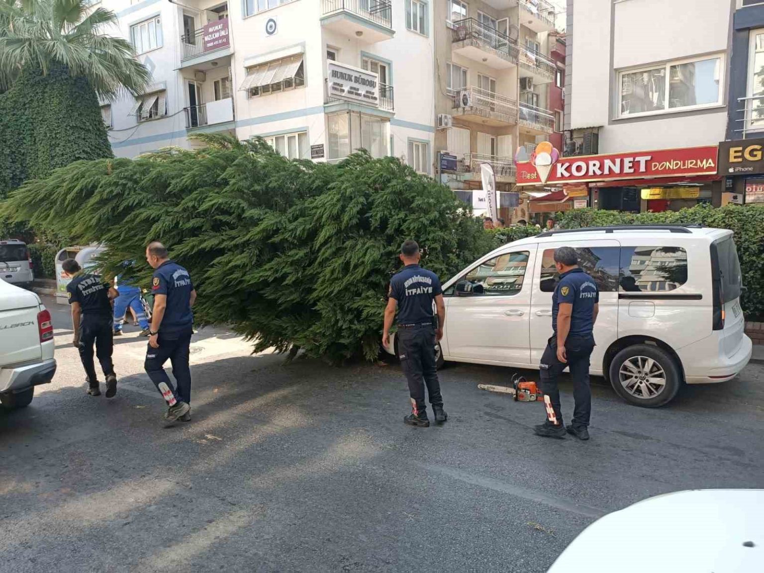 aydinda-agac-aracin-ustune-devrildi
