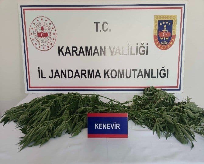 karamanda-tarih-eser-ile-kenevir-ele-gecirildi