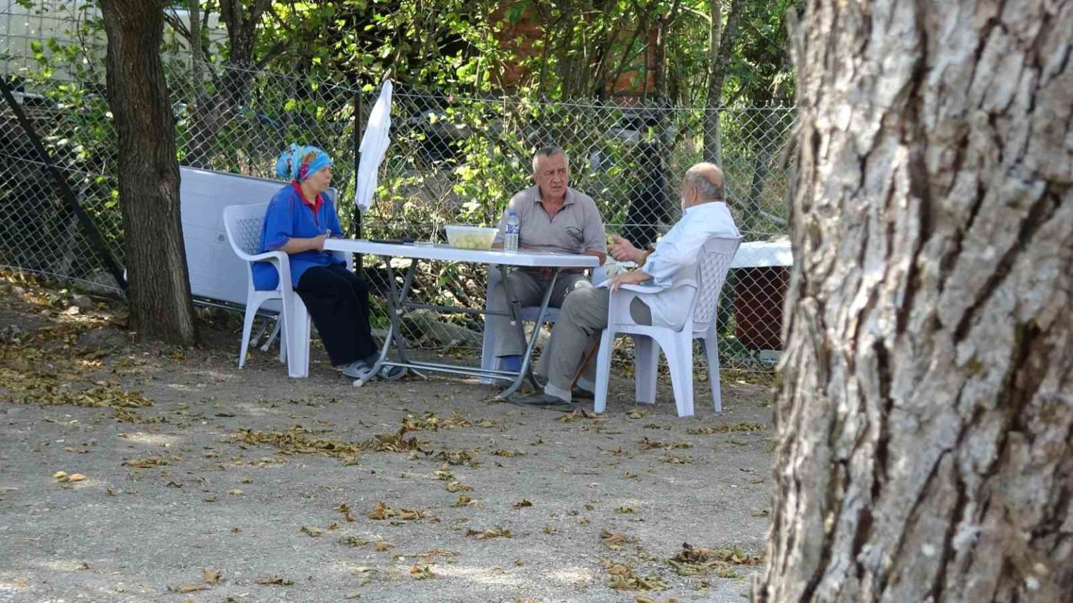 orman-yangininda-60-yil-sonra-ayni-aciyi-yasadi