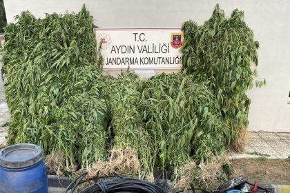 jandarmadan-uyusturucu-operasyonu-17-yakalama