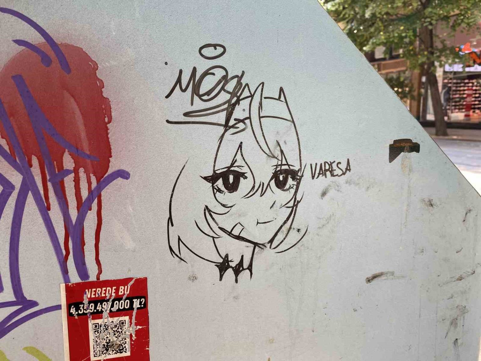 cop-kutusunun-uzerine-cizilen-anime-kizi-dikkat-cekti