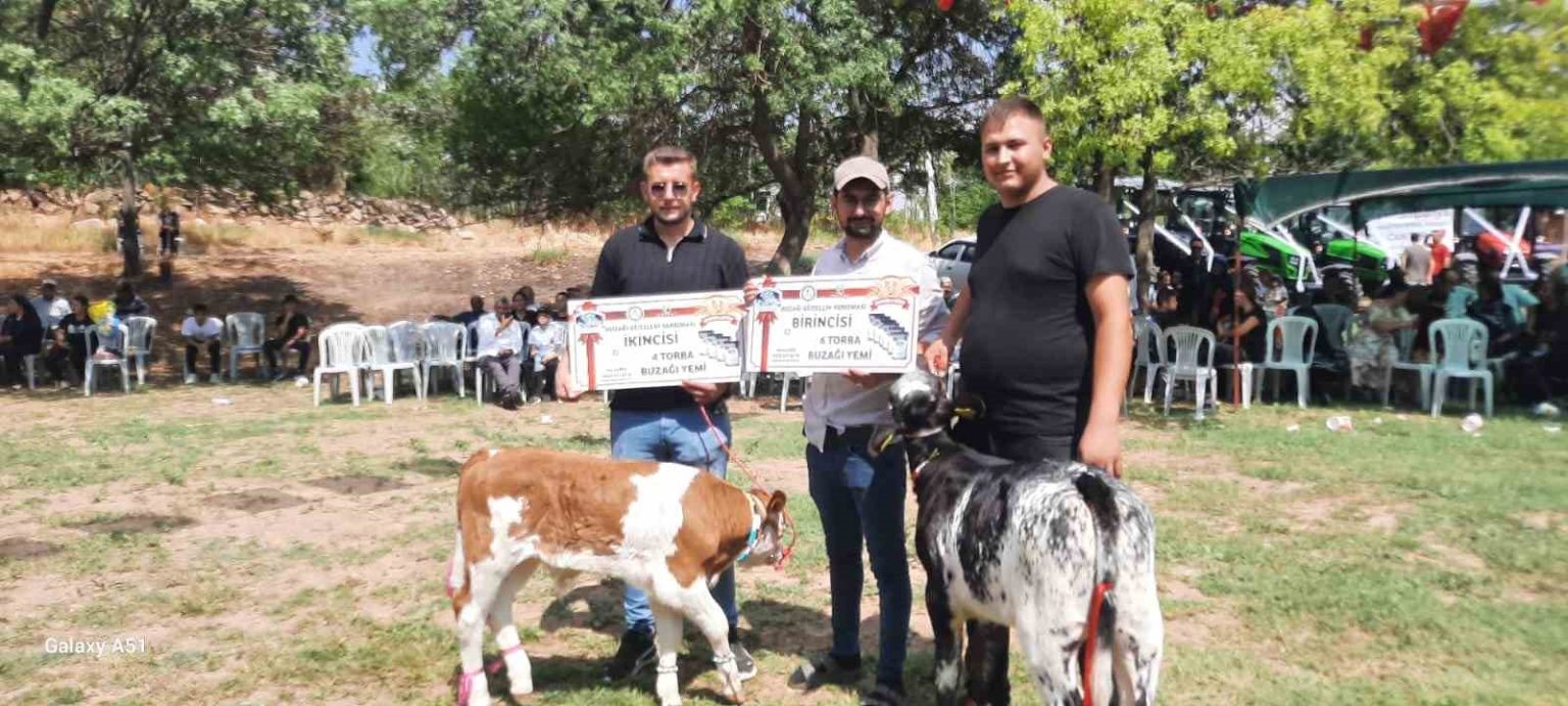 festivalde-en-guzel-kuzu-ve-buzagi-secildi