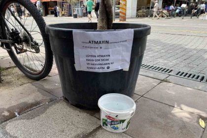 hayvansever-vatandasin-kibar-uyari-yazisi-gorenleri-gulumsetti