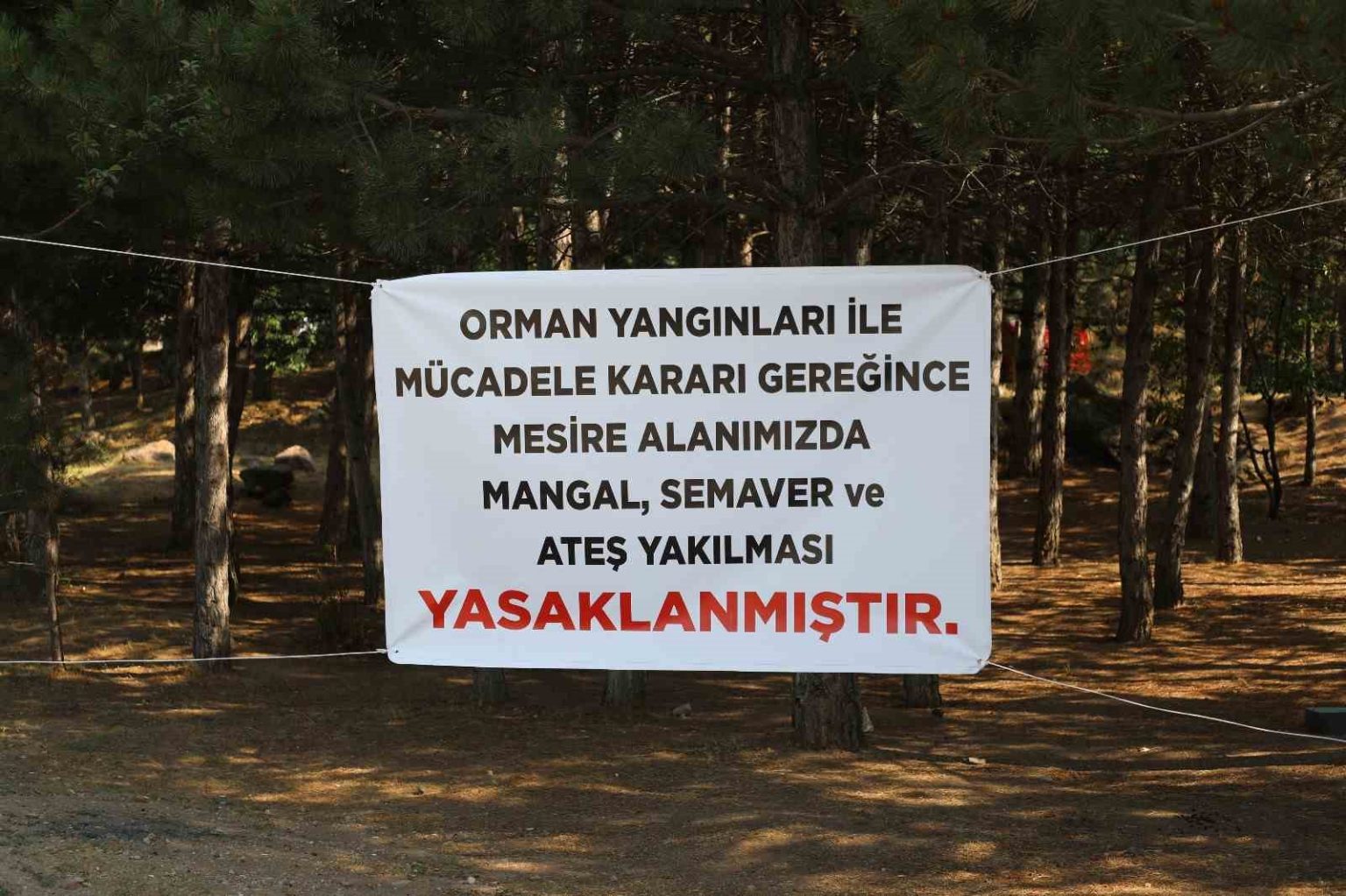 melikgazi-belediyesi-uyardi-mesire-alanlarinda-mangal-semaver-yakmak-yasak