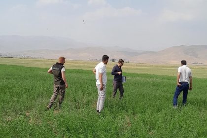 yuksekovanin-ovasinda-yem-bitkileri-incelendi