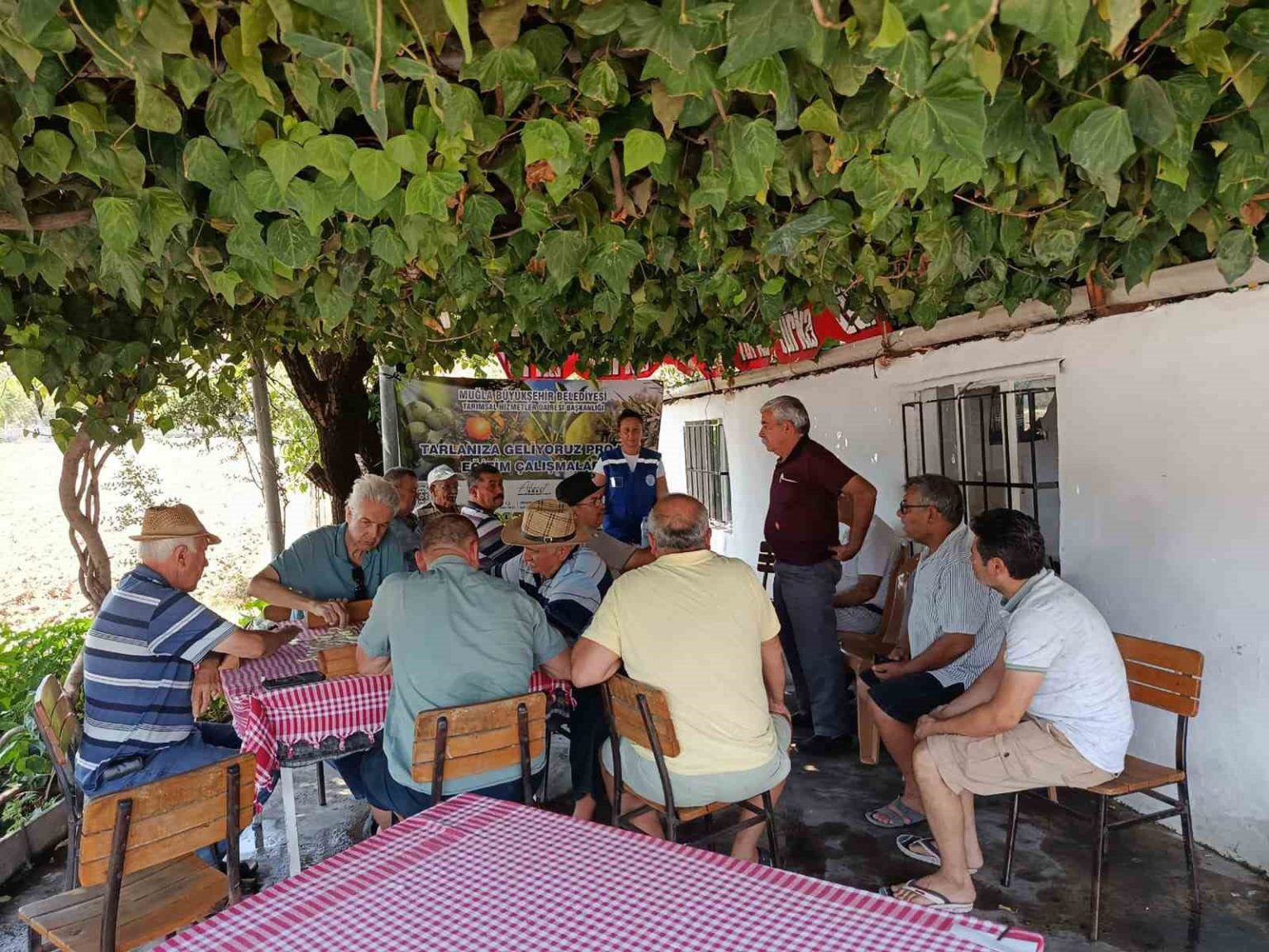 buyuksehir-tarlaniza-geliyoruz-projesiyle-milasli-ureticilerin-yaninda