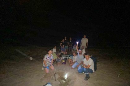 didimde-47-yavru-caretta-caretta-denize-ulasti