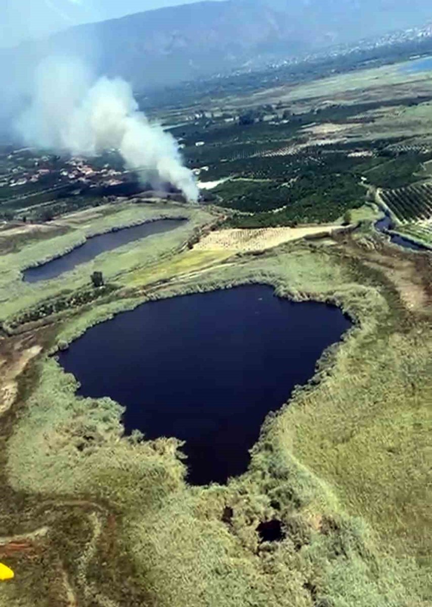 koycegiz-sazliklarda-yangin