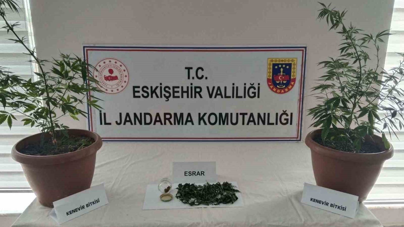balkondaki-saksilarin-icinde-2-kok-kenevir-ve-47-gram-esrar-maddesi-ele-gecirildi