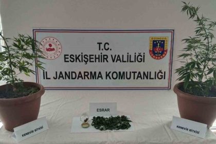 balkondaki-saksilarin-icinde-2-kok-kenevir-ve-47-gram-esrar-maddesi-ele-gecirildi